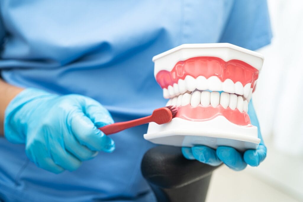 Démonstration du brossage des dents sur un modèle dentaire - Soins de dentisterie esthétique Odontys
