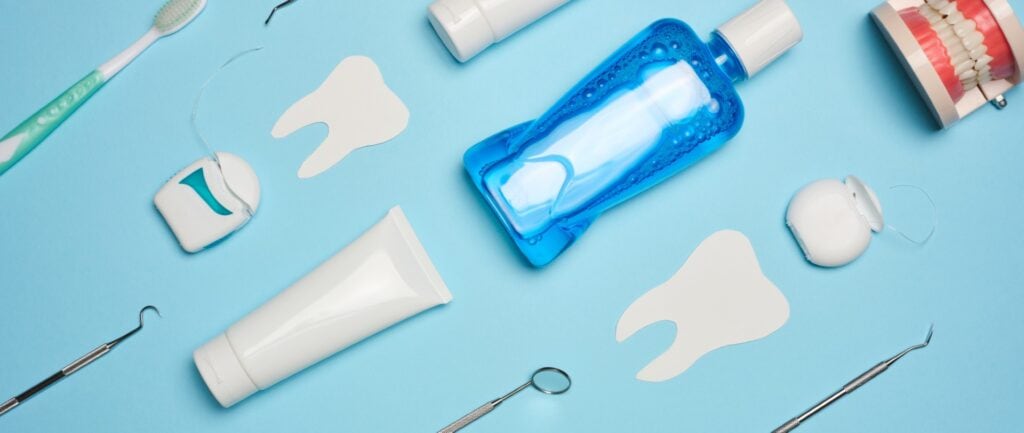 Maquette dentaire illustrant des dents naturelles et une racine traitée en endodontie