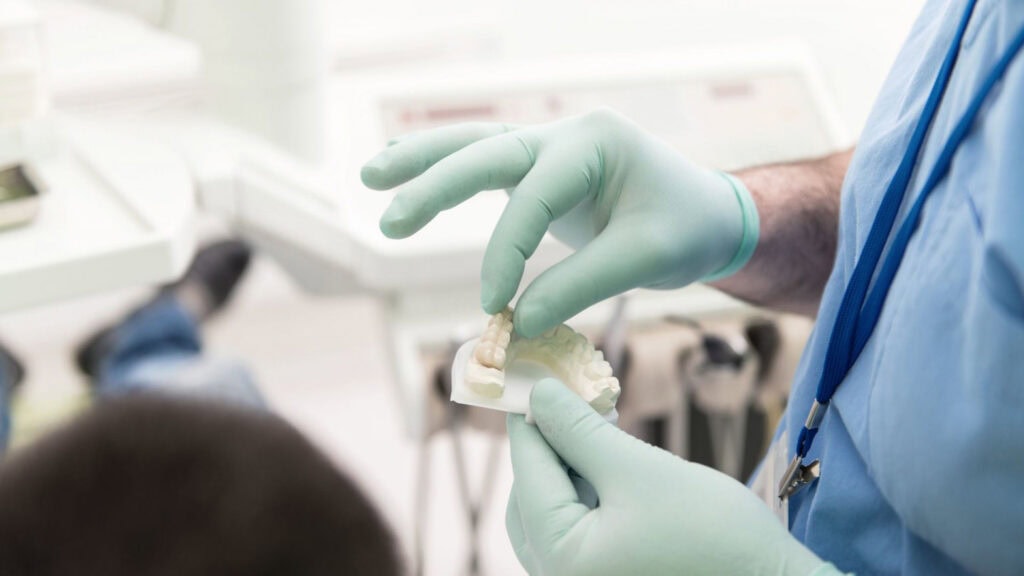 Dentiste présentant un modèle dentaire pour expliquer un plan de traitement au patient.